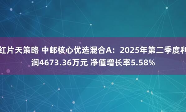 红片天策略 中邮核心优选混合A：2025年第二季度利润4673.36万元 净值增长率5.58%