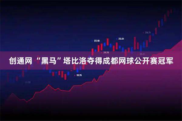 创通网 “黑马”塔比洛夺得成都网球公开赛冠军