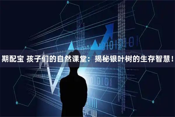 期配宝 孩子们的自然课堂：揭秘银叶树的生存智慧！
